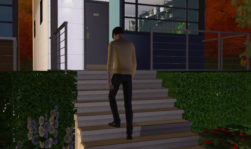 Sims2-EP9-2021-01-10-20-08-12-59