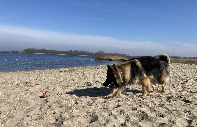 Afbeelding