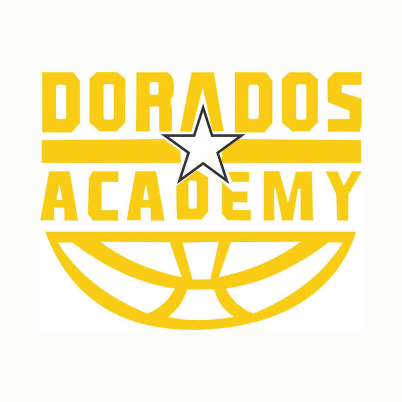 Logo de Dorados Academy