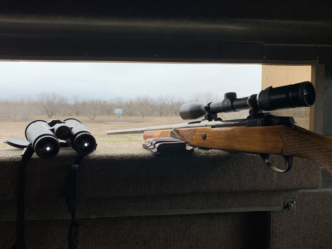 E5D151B9-2A47-4D27-9EA4-41D3E5B42606