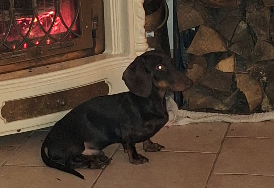 [Image: 20240210-183726.jpg]