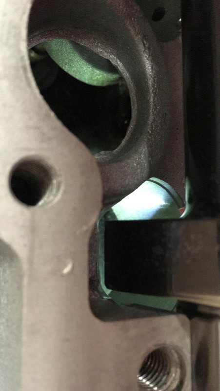 nokkenas vrij gevijld