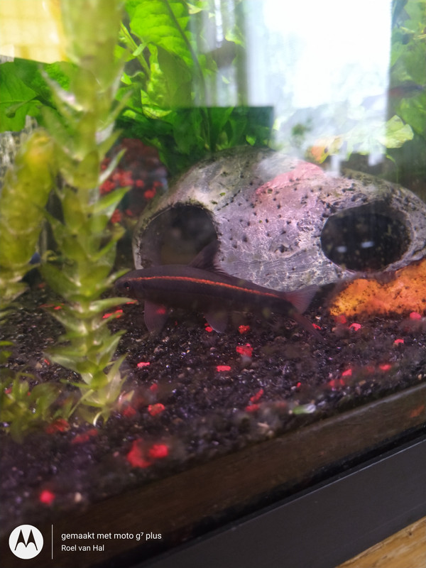 IMG_20201119_113056024