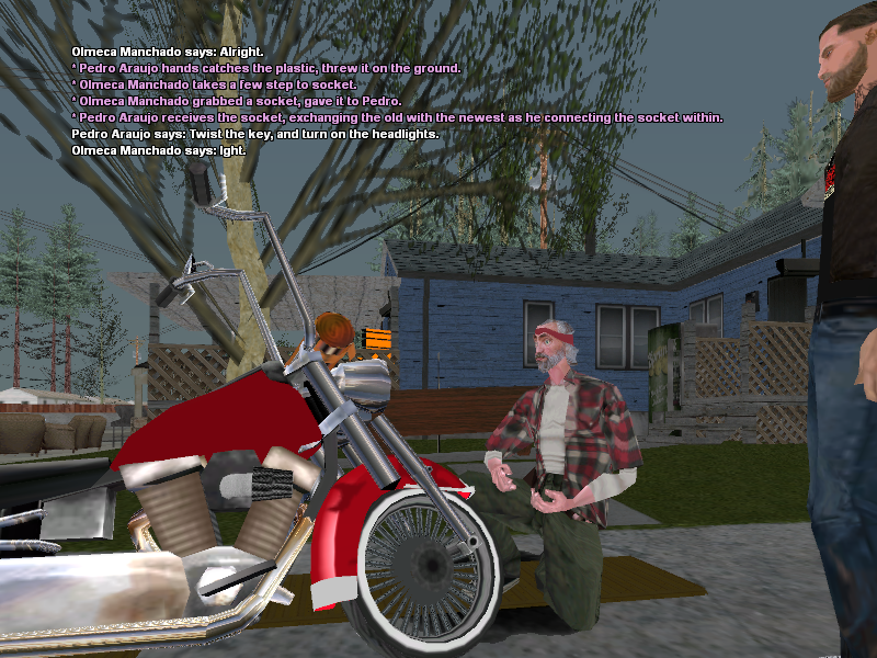 SSRoleplay397.png