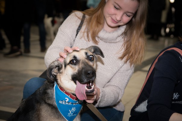 F1A923ED-F730-49F4-9A48-1B00C0B6D782