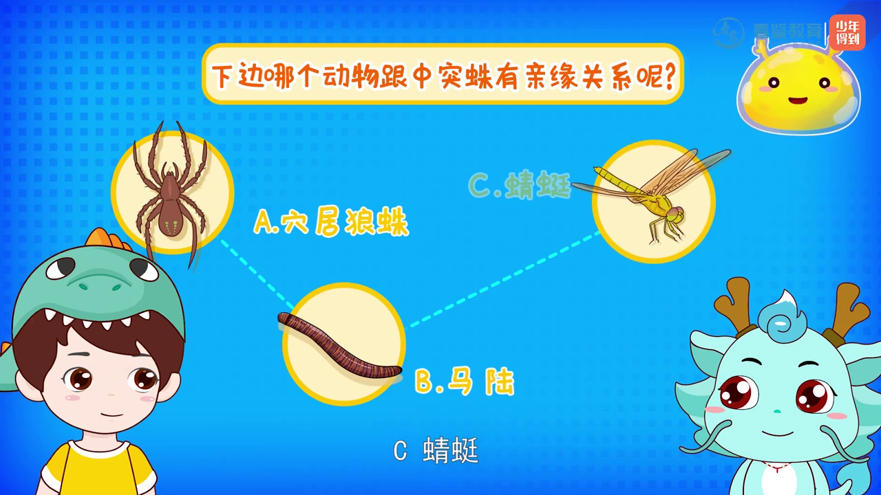 【幼教】少年得到—史前巨兽大揭秘-时令官IP站