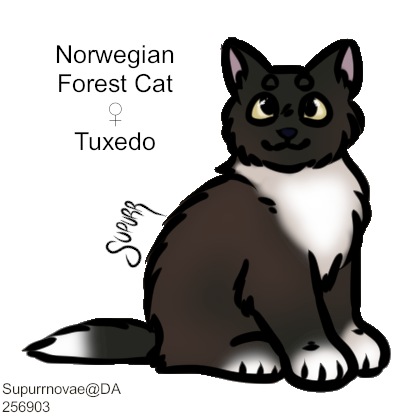 Tuxedo-Norwegian.png