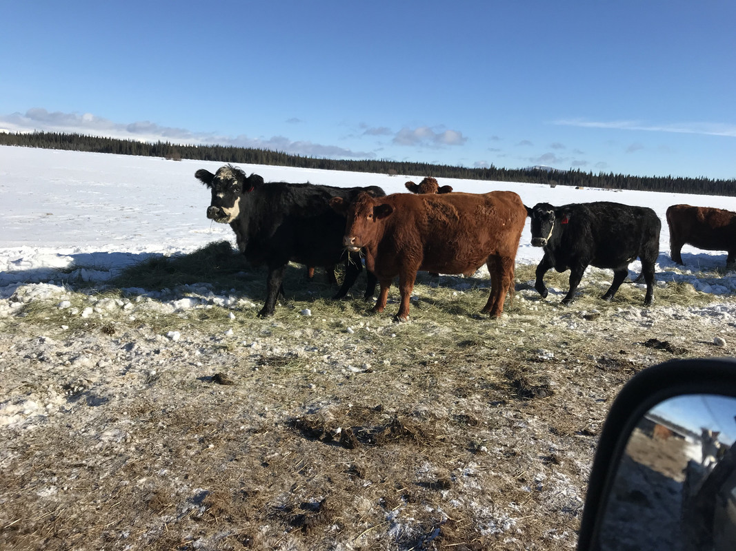 1A6C1C92-8953-431E-AC35-C47147AFD1C0