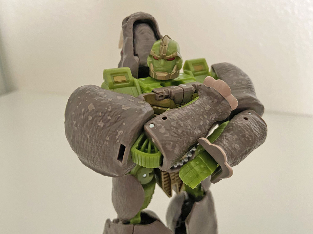 Kingdom-Rhinox-In-Hand-Images-12