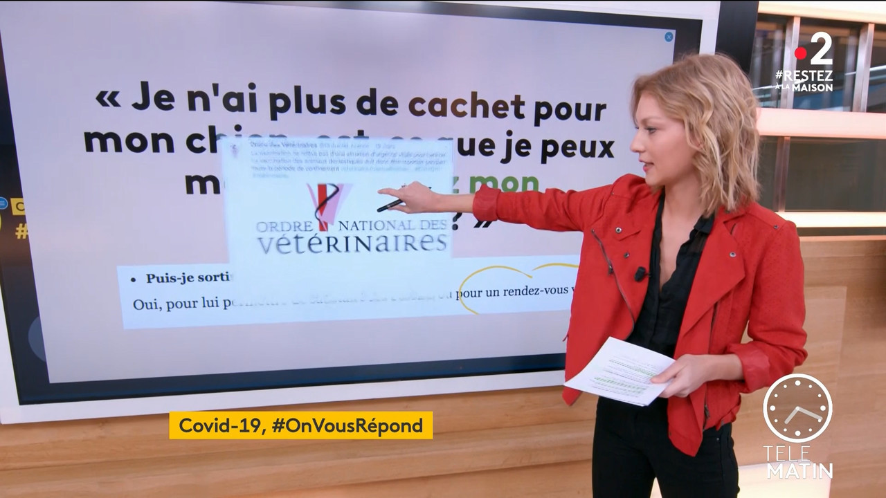 2020-03-26_06_30_Fr2_Telematin.mp4_snapshot_00.54.16_[2020.04.09_21.38.16]