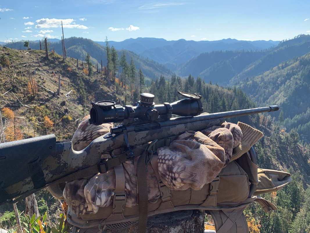 B78268D7-2D44-44BA-9D0A-D801DF367FB5