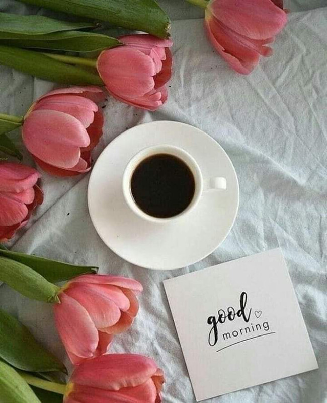 FB_IMG_1681791369680