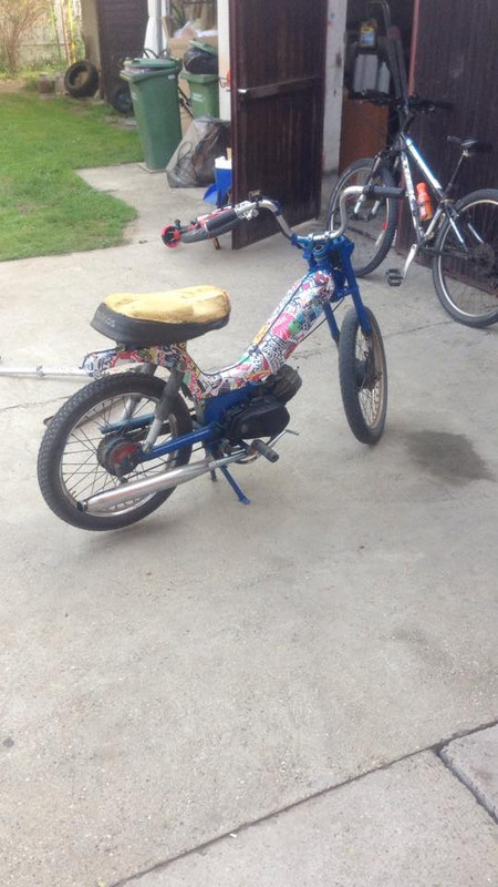 11815827_10203365070807302_1757743556_n