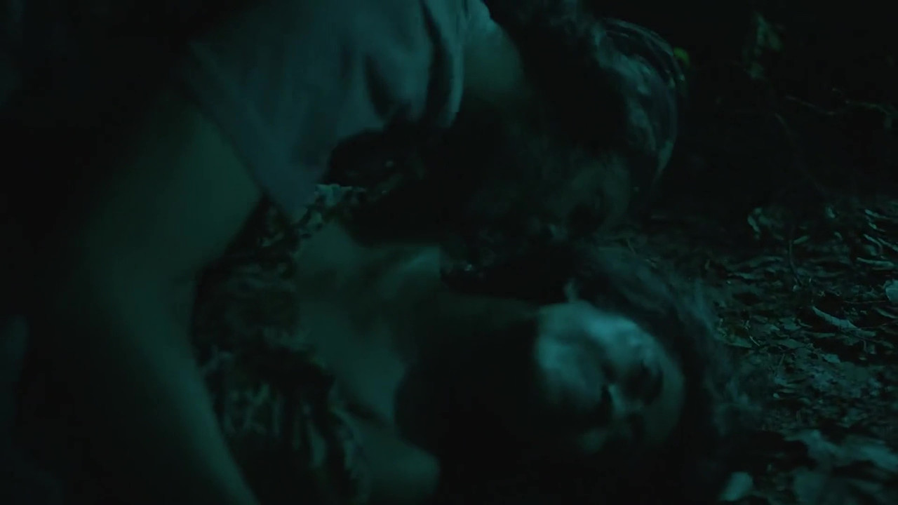 vlcsnap 2025 11 03 23h46m16s448