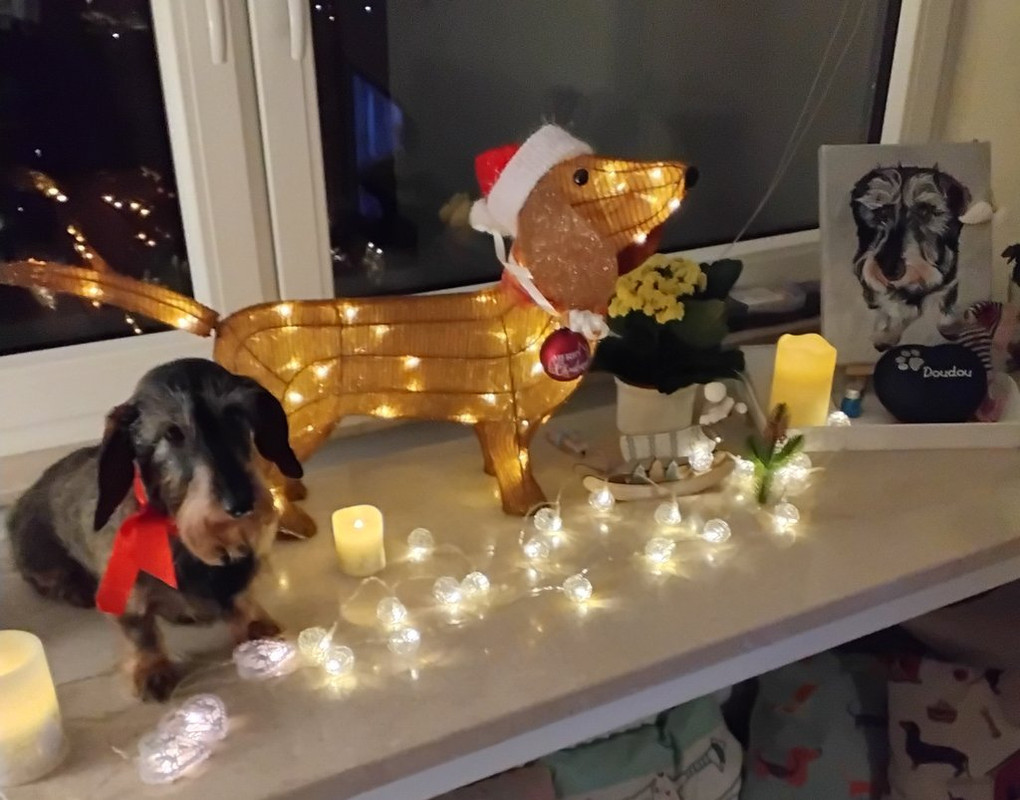 [Image: 20241224-192707-2.jpg]