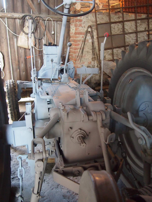 P7153209 (Kopírovat)