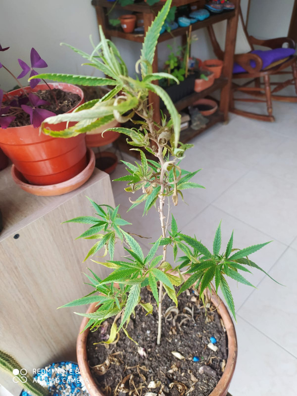 d4ac21a7-9382-4c7e-a492-86a9c4908cb3