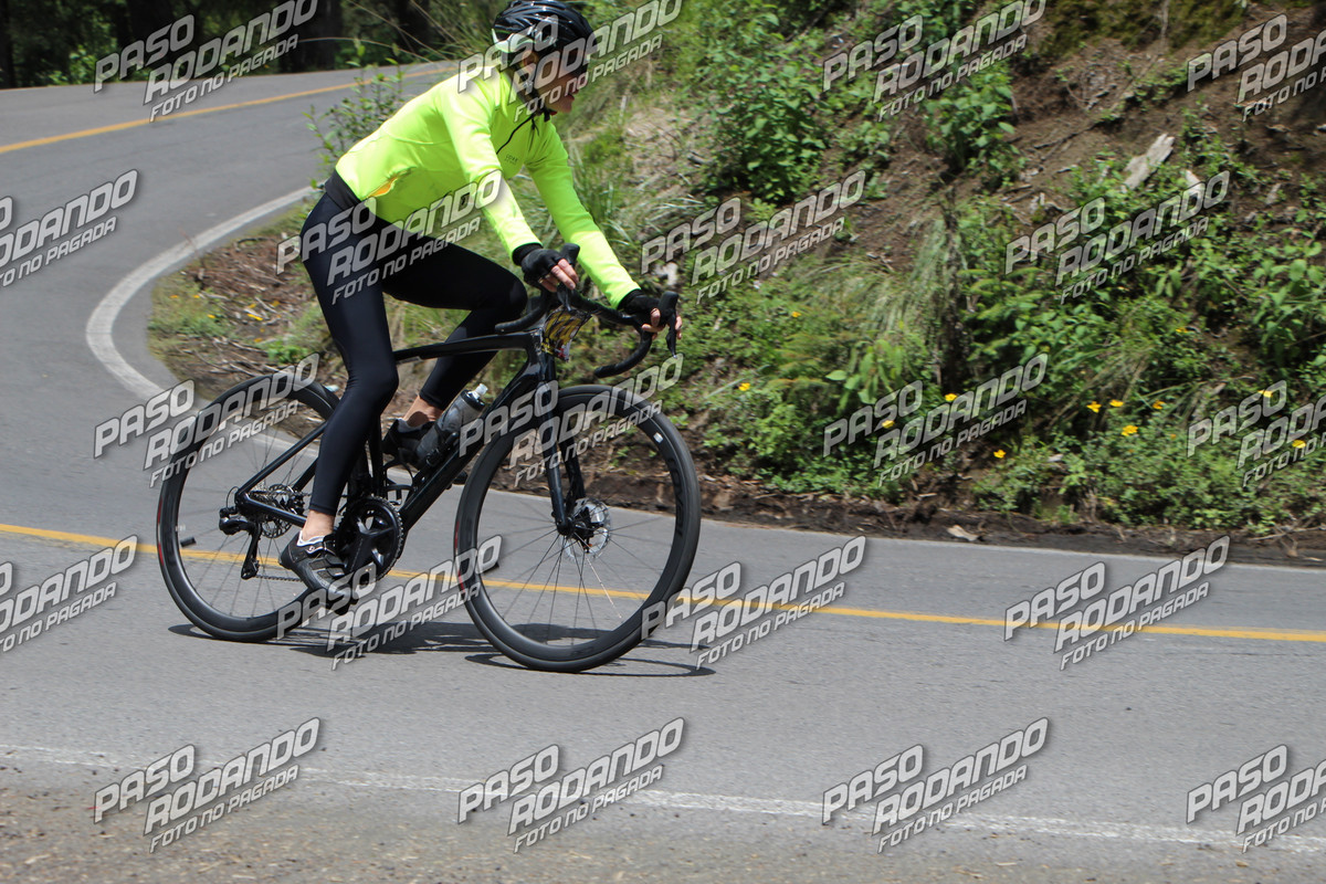 IMG 4167 wm 4297488 watermarked — Postimages