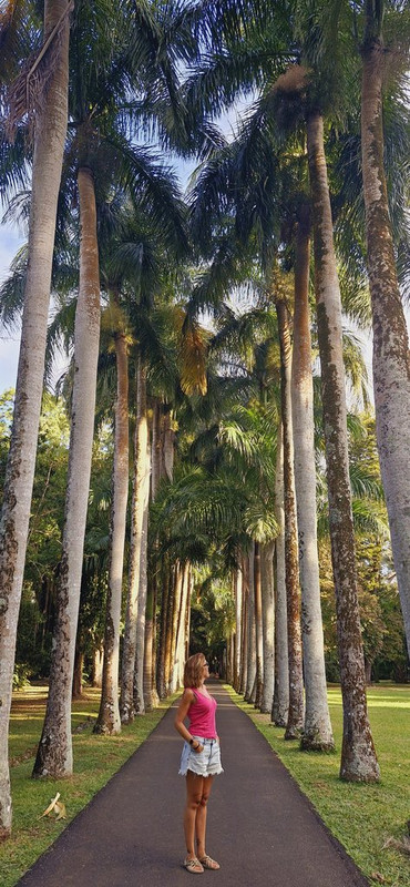Isla Mauricio II: rozando el nirvana - Blogs de Mauricio - Port Louis y Jardín de Pamplemousses (9)