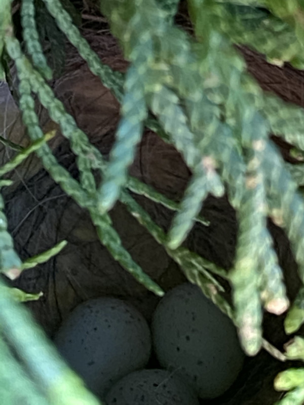 B6DB8325-2D1A-40F5-BD3A-2E36EF1B46EF