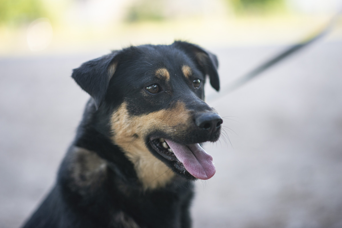 610_1183_минск!