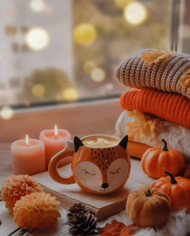 https://i.postimg.cc/909MsFyd/9d12a619-5184-4eb7-9ecf-3f595bb3c53b.jpg