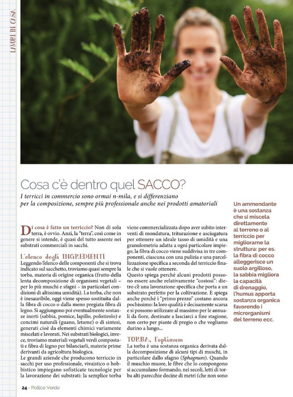 Pol Ver Mar-Apr 2022 (5)