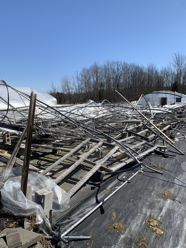 61417E5A-3925-4AF3-BAA4-D50293756173