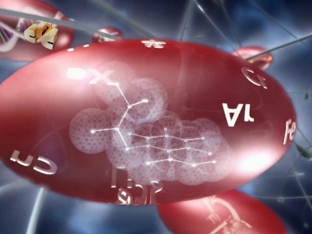 Самый умный кадет (07.08.2011) 1