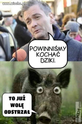 dziki.jpg