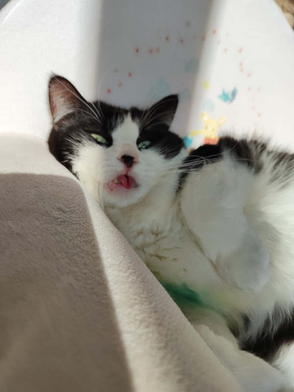 IMG_20230211_140206(1)