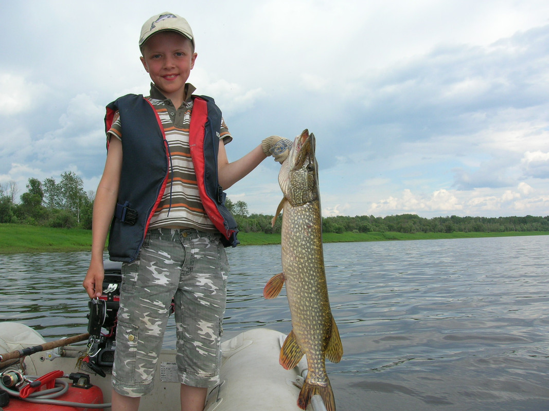 рыбу рукой брать джиг спиннинг судак щука мастер-класс Куляпин Андрей катушка приманка (1)