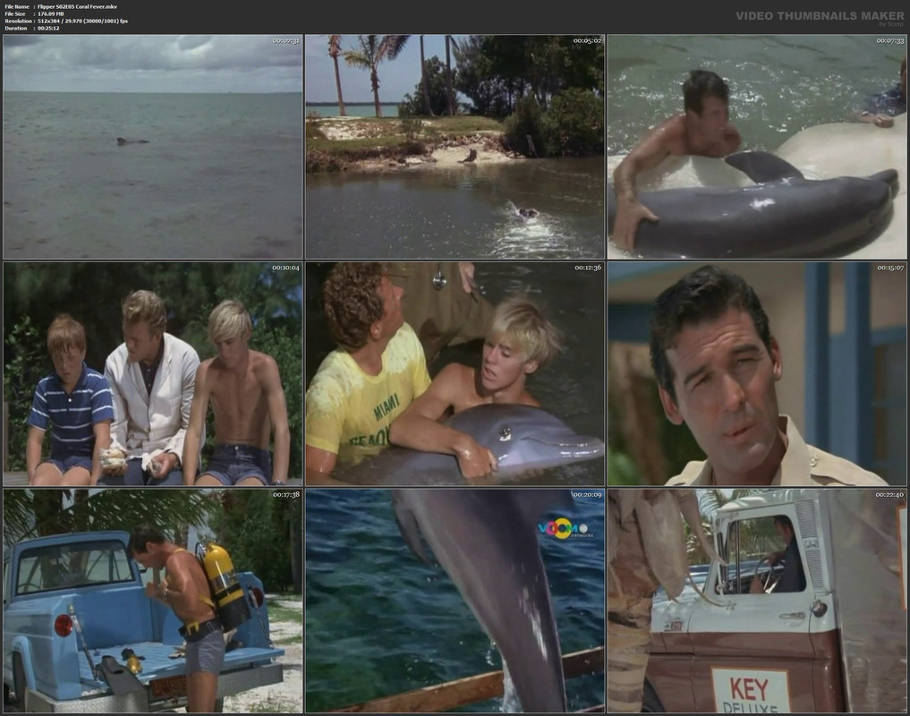 Flipper S02E05 Coral Fever.mkv