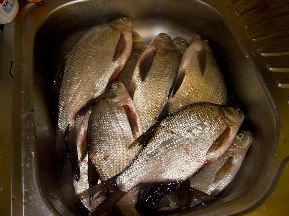 Самые крупные до 750 грамм