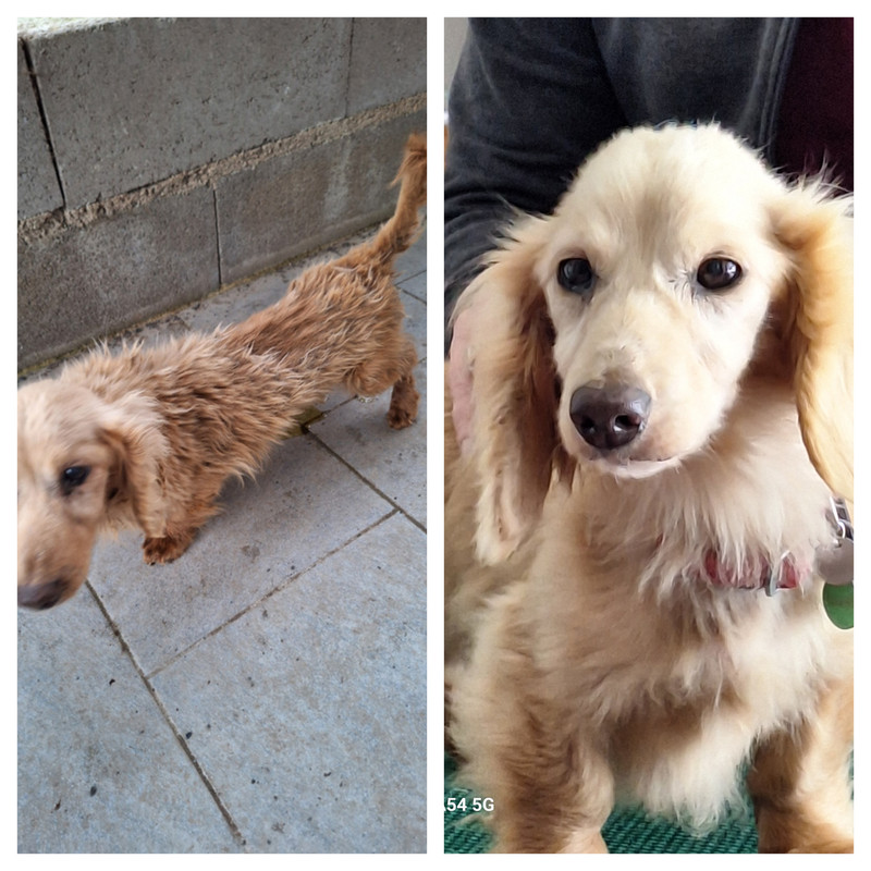 [Image: In-Collage-20240702-213643525.jpg]