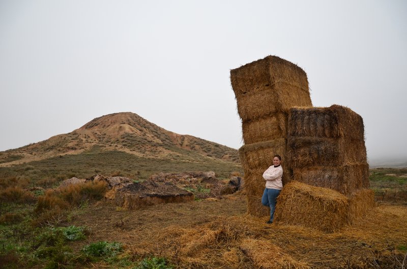 Navarra y sus pueblos-2015 - Blogs de España - Las Bárdenas Reales-15-11-2015 (41)