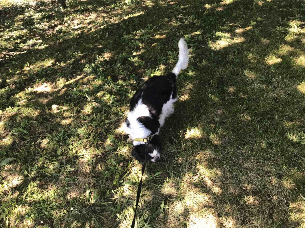 7E1539B5-060E-486A-AFC6-B6E0AD6C5EFF