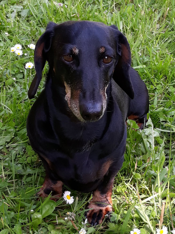 [Image: IMG-20250528-181134.jpg]