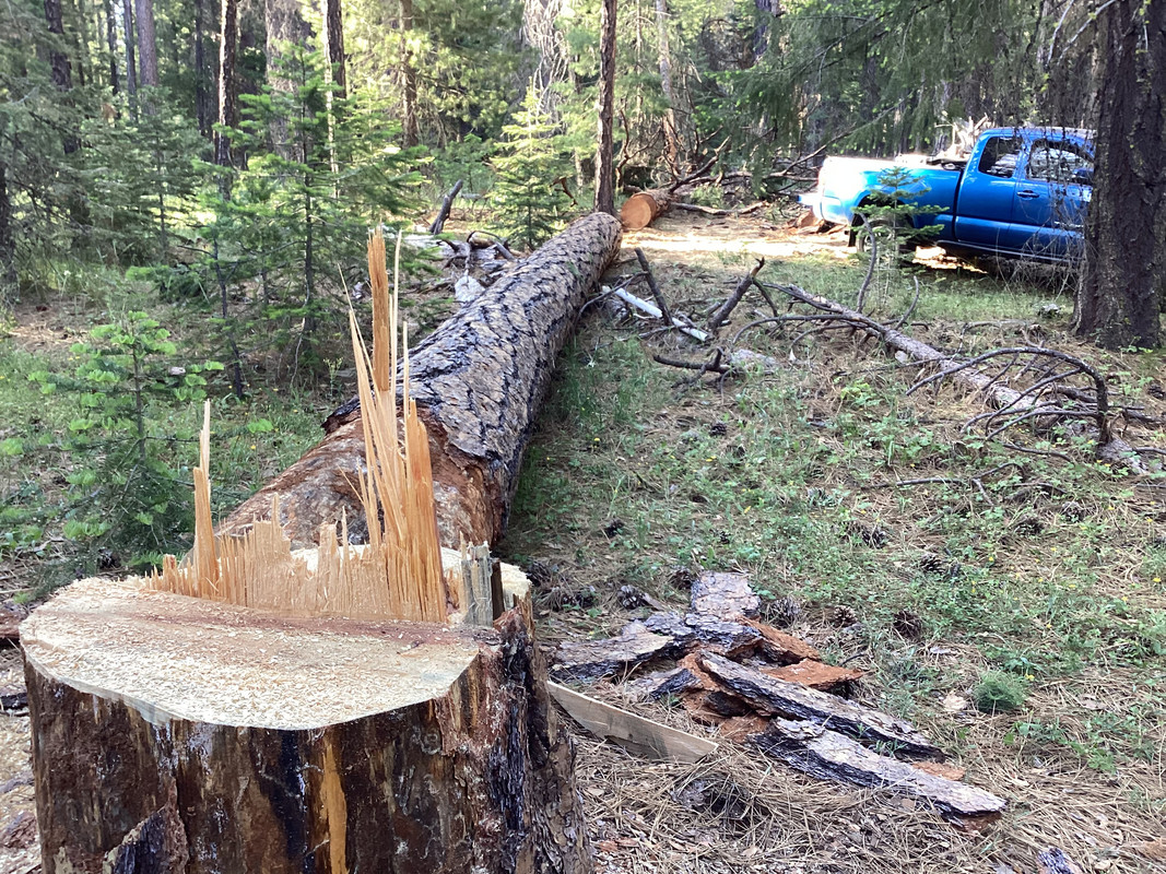 FD71D8F5-37B0-4D1E-AE64-0BB7607351FB