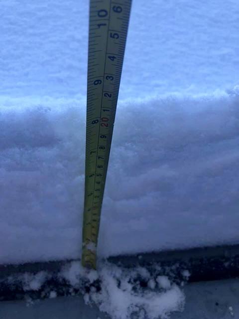 [Image: 57282469-F936-4637-B573-E2179-A7-A8165.jpg]