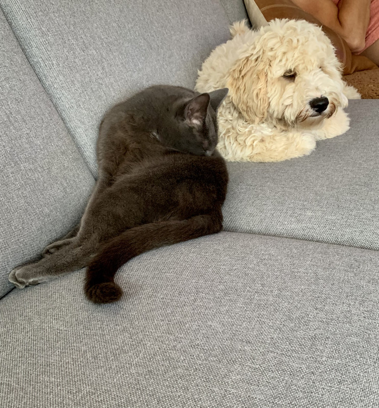 222FA7D2-6A38-4E1F-8A7C-E8006D856A80