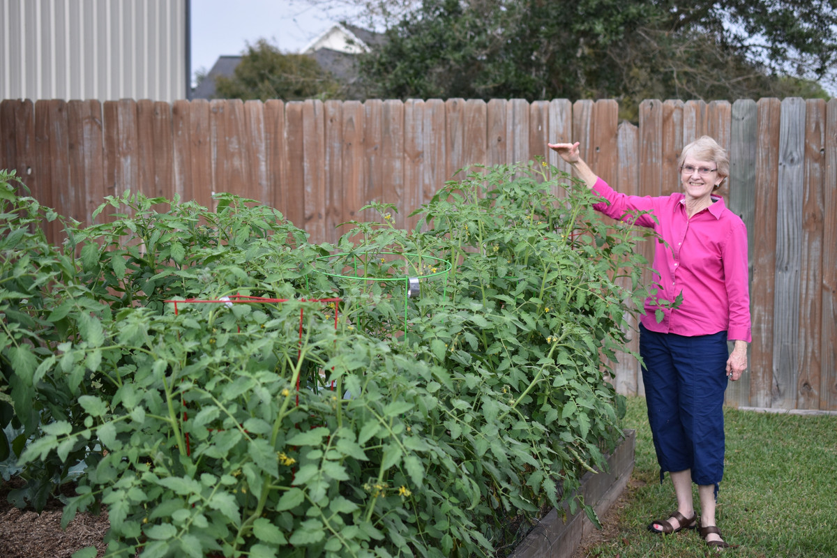 2016 11 05 Kathys Garden (2)a