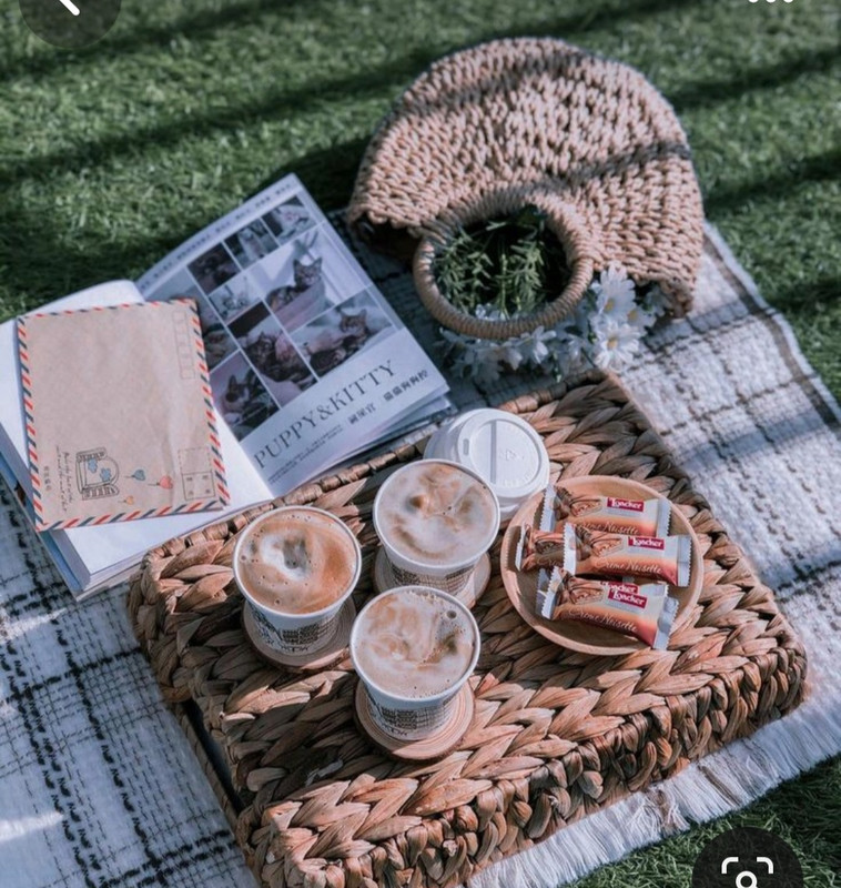 Screenshot_20230911_224252_Pinterest