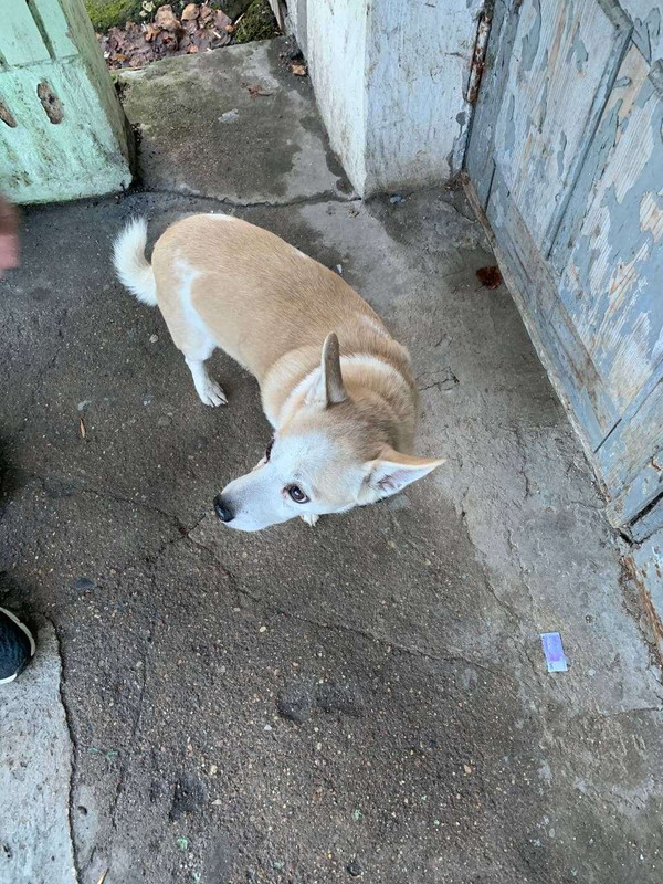 D8523F83-B2D4-4306-9EAD-2F3C165DEC3C