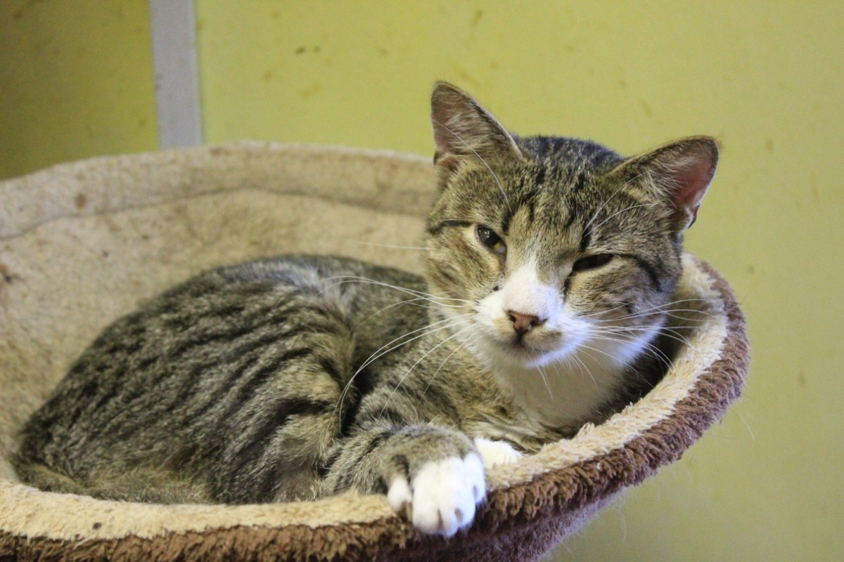 B0A613E4-346C-4F42-9FA5-A727A21C55DF