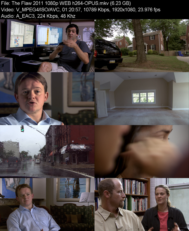 the-flaw-2011-1080p-web-h264-opus.png
