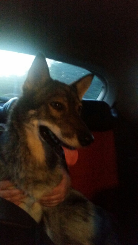 изображение_viber_2019-07-20_14-46-47