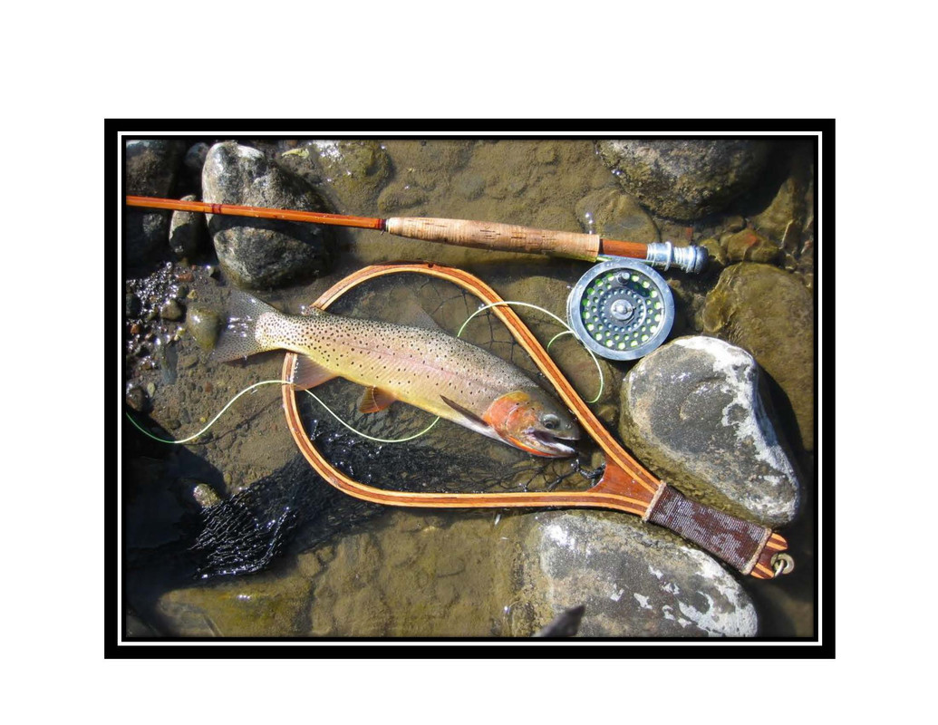 A Moments Glimpse of the Glory_Yellowstone Cutthroat Trout_Lamar River YNP