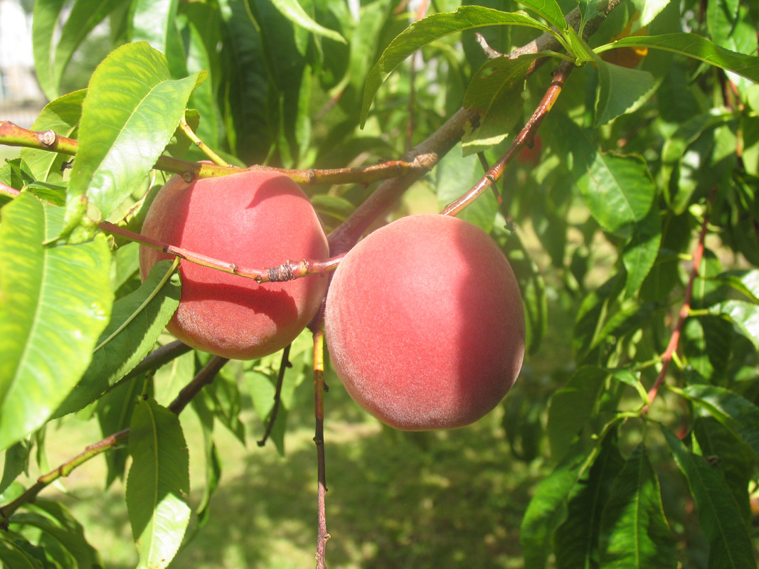 31 Июля 2024 012