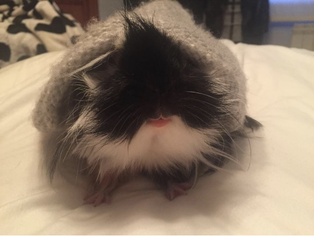 59D264BC-EFC0-4A0C-A420-E690AED7002A